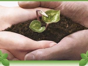 Soil Remediation Blog